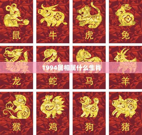 1994生肖|94年是属什么生肖？